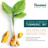 Etiqueta frontal de Himalaya Cúrcuma 95 con información clara y beneficios potenciales