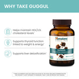 Himalaya Guggul caja: empaque seguro y trazabilidad
