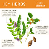 Ingredientes herbales de Himalaya Hello Energy para vitalidad suave