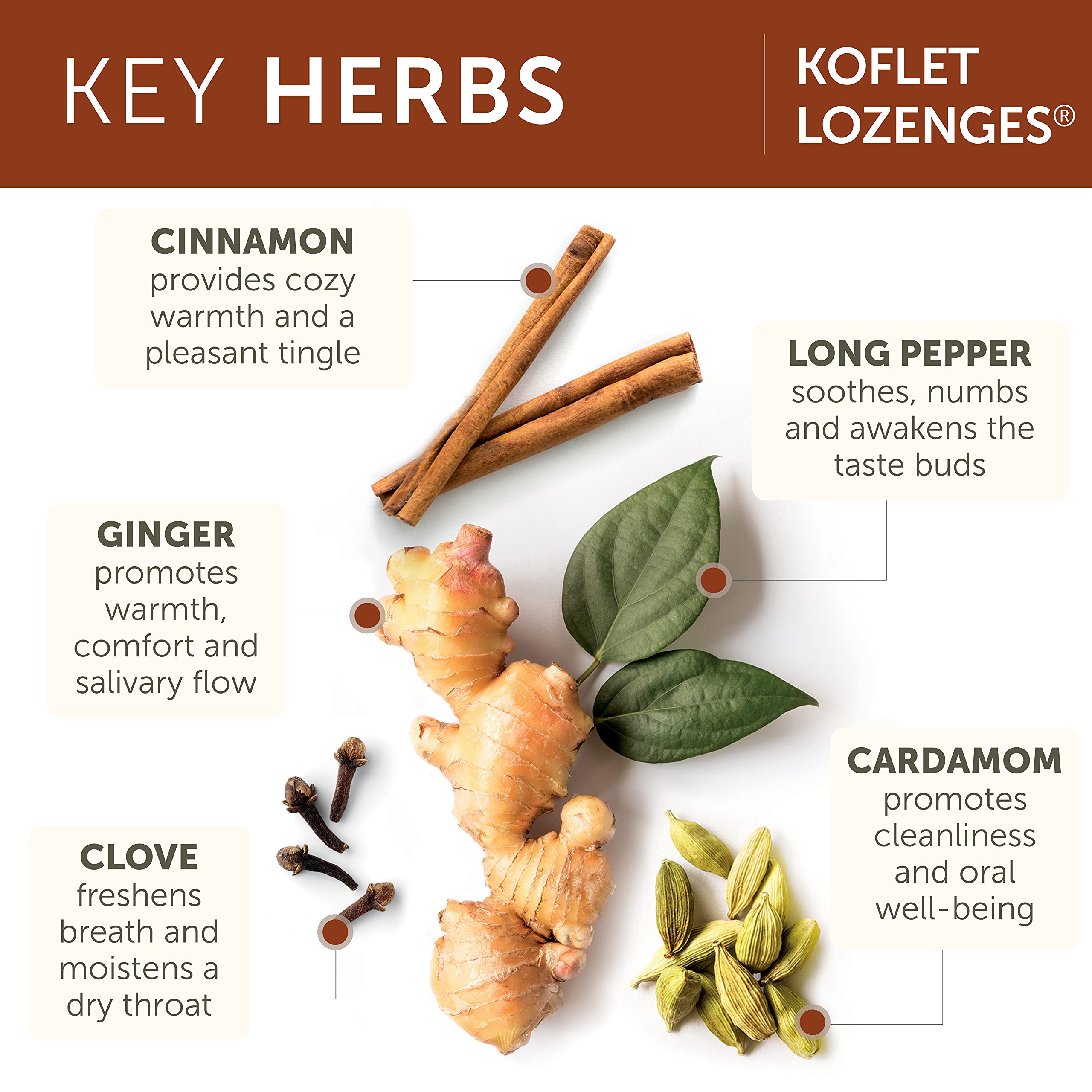 Himalaya Koflet empaque compacto para viaje y trabajo