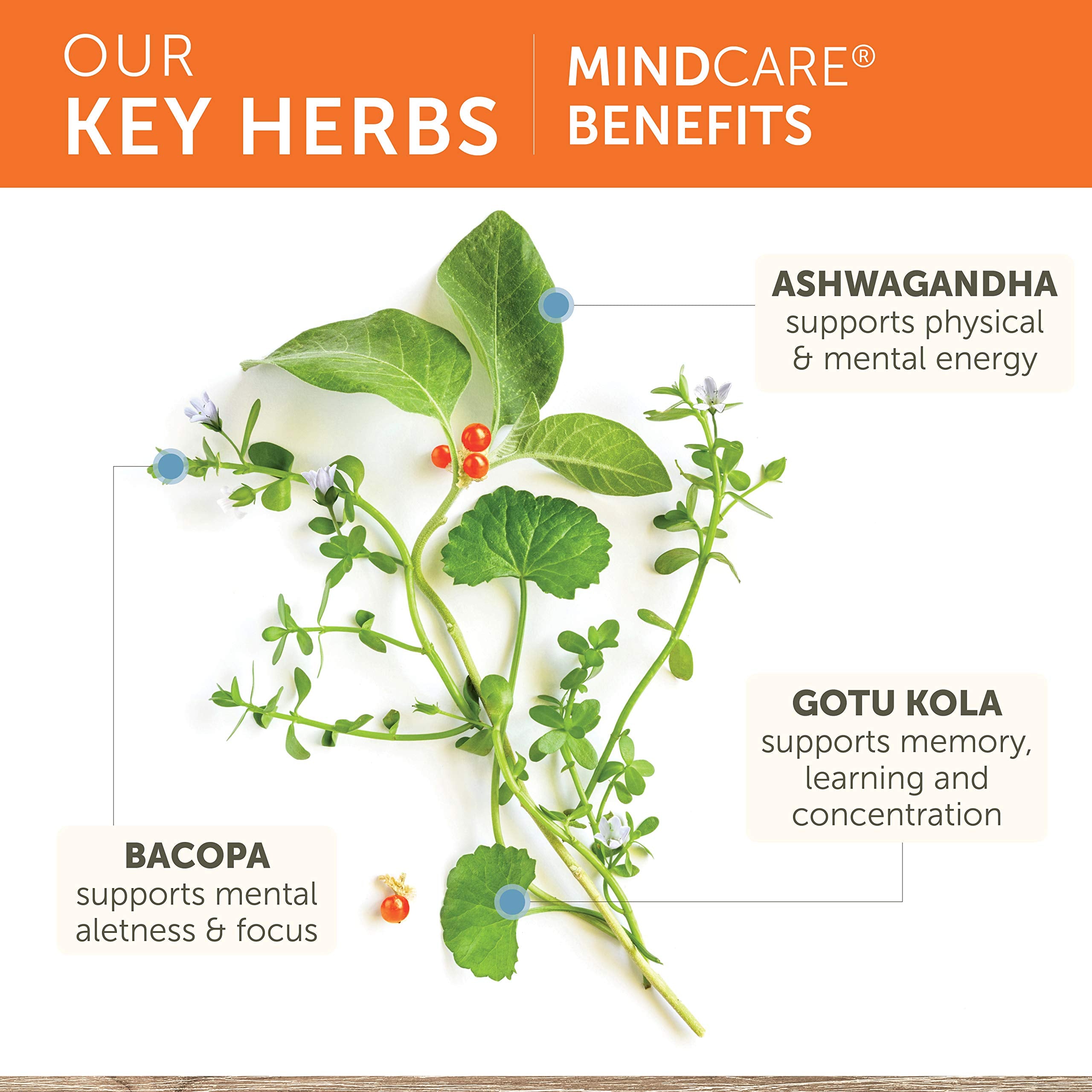Himalaya MindCare etiqueta vegana y sin OMG, opción segura