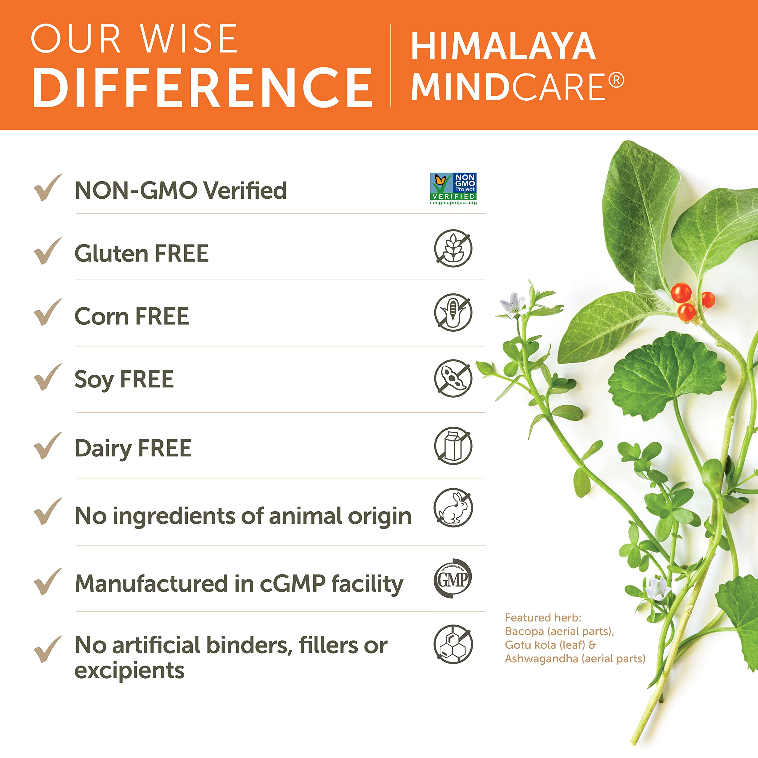 Himalaya MindCare plan diario: cápsulas para uso cotidiano