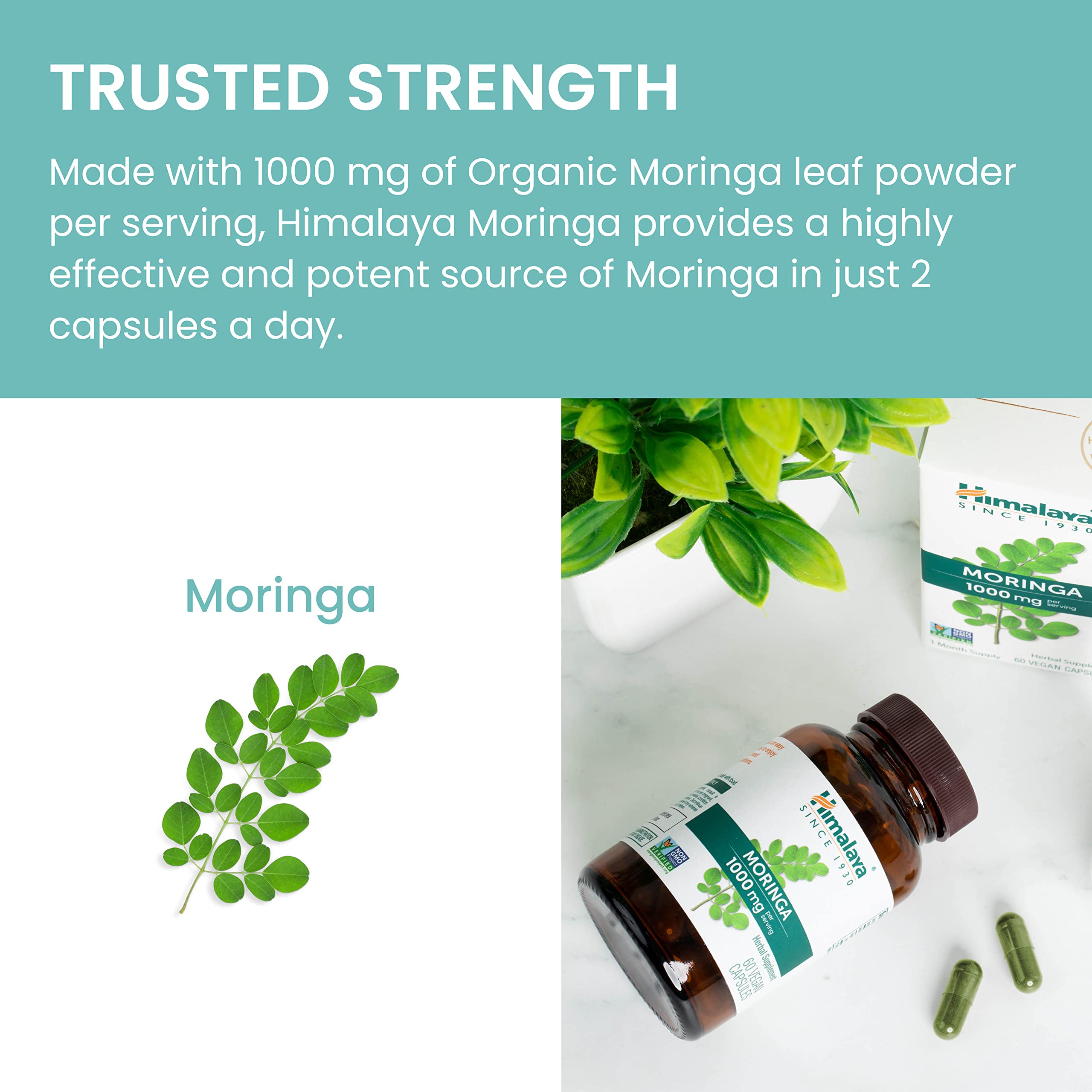 Himalaya Moringa más de 90 años de experiencia familiar