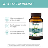 Hojas de Gymnema Sylvestre orgánico de Himalaya para extracción natural.