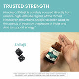 Himalaya Shilajit: apoyo a energía y rendimiento cognitivo diario.