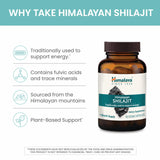Textura resinosa de Shilajit para ritual de energía.