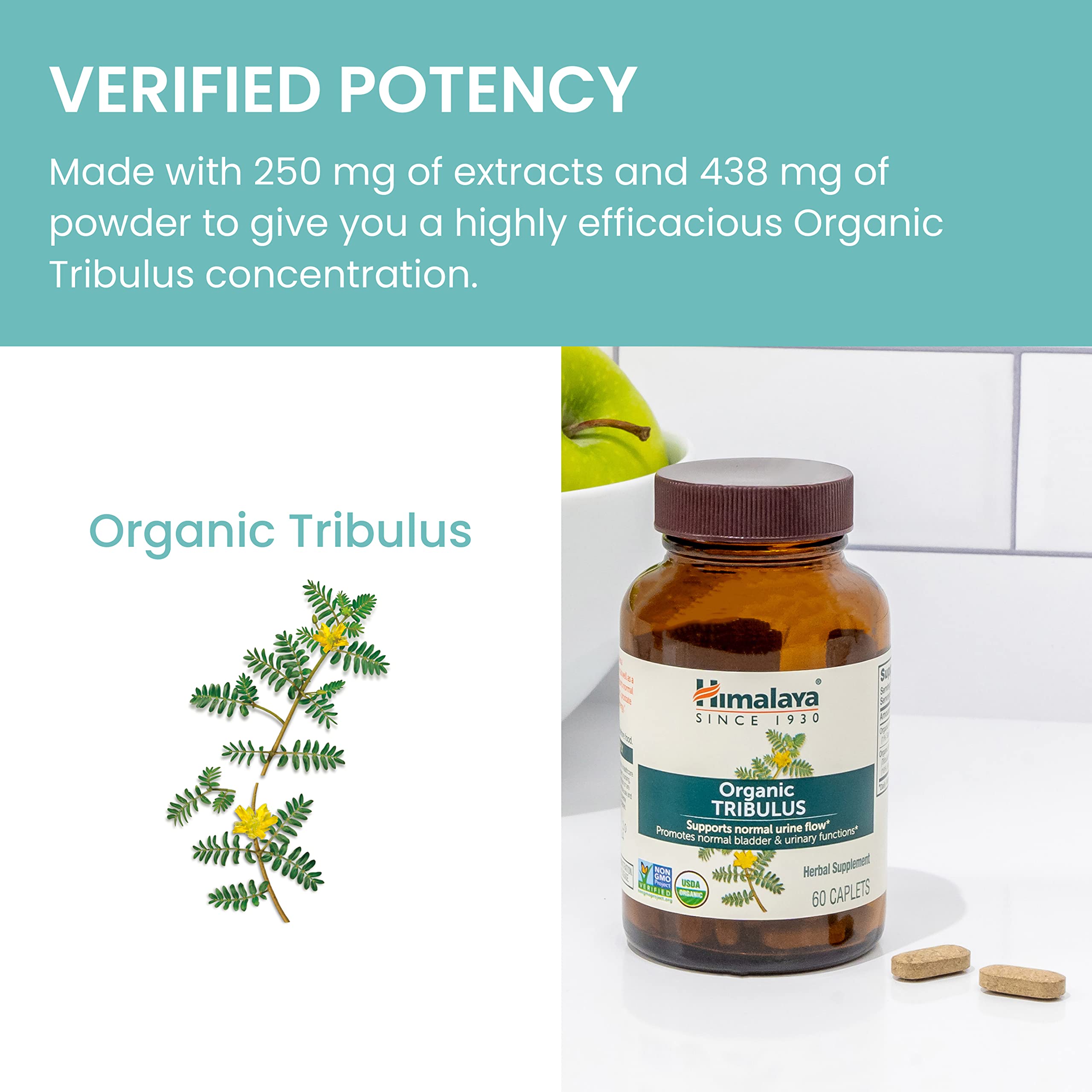 Himalaya Tribulus Orgánico empaque compacto, ideal para viaje.