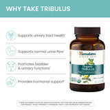 Himalaya Tribulus Orgánico cápsulas de 688 mg para consumo diario.