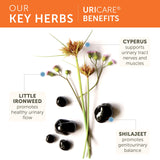UriCare Himalaya: ingredientes ayurveda para equilibrio del tracto urinario