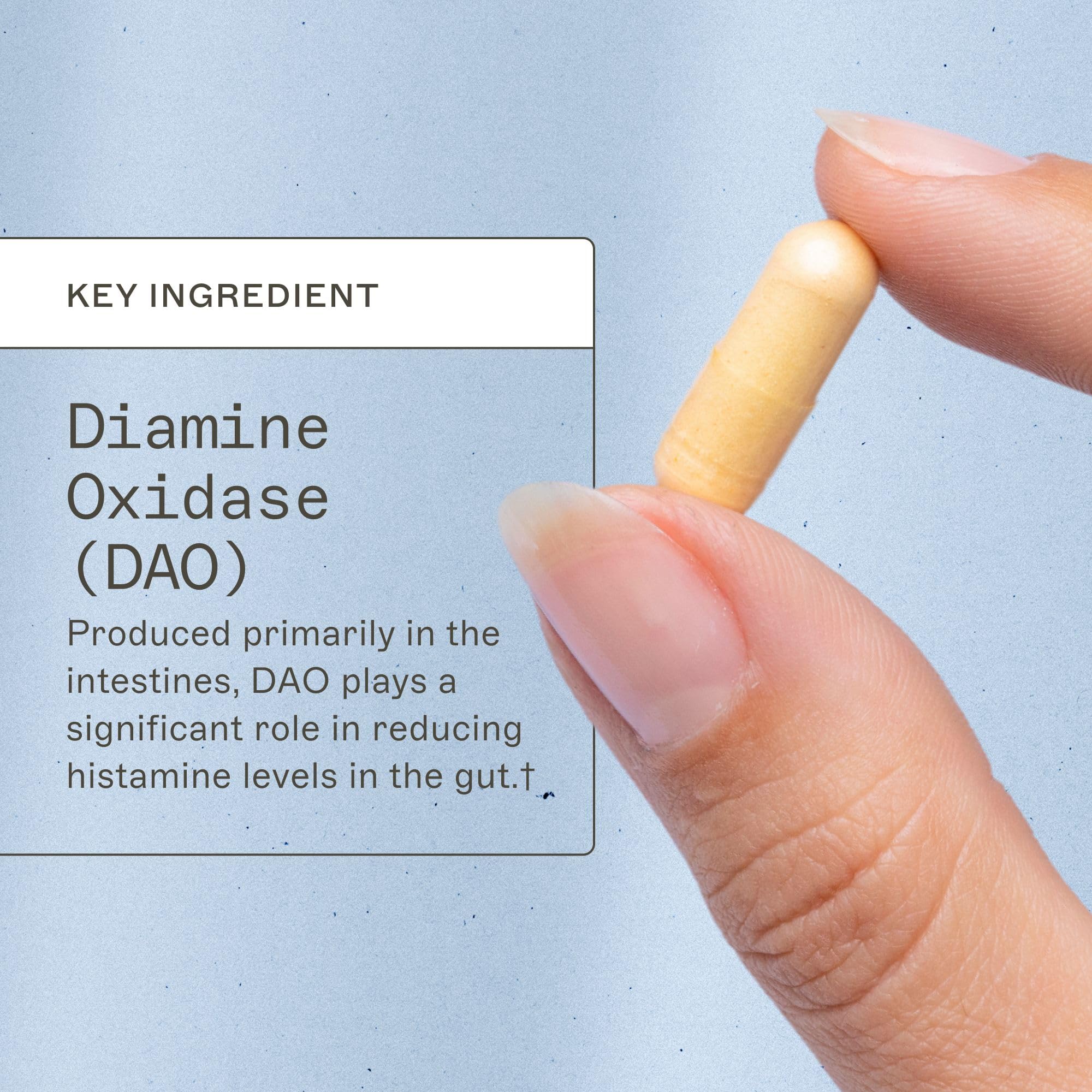 Etiqueta de Histazyme DAO mostrando beneficios para la digestión y tolerancia.