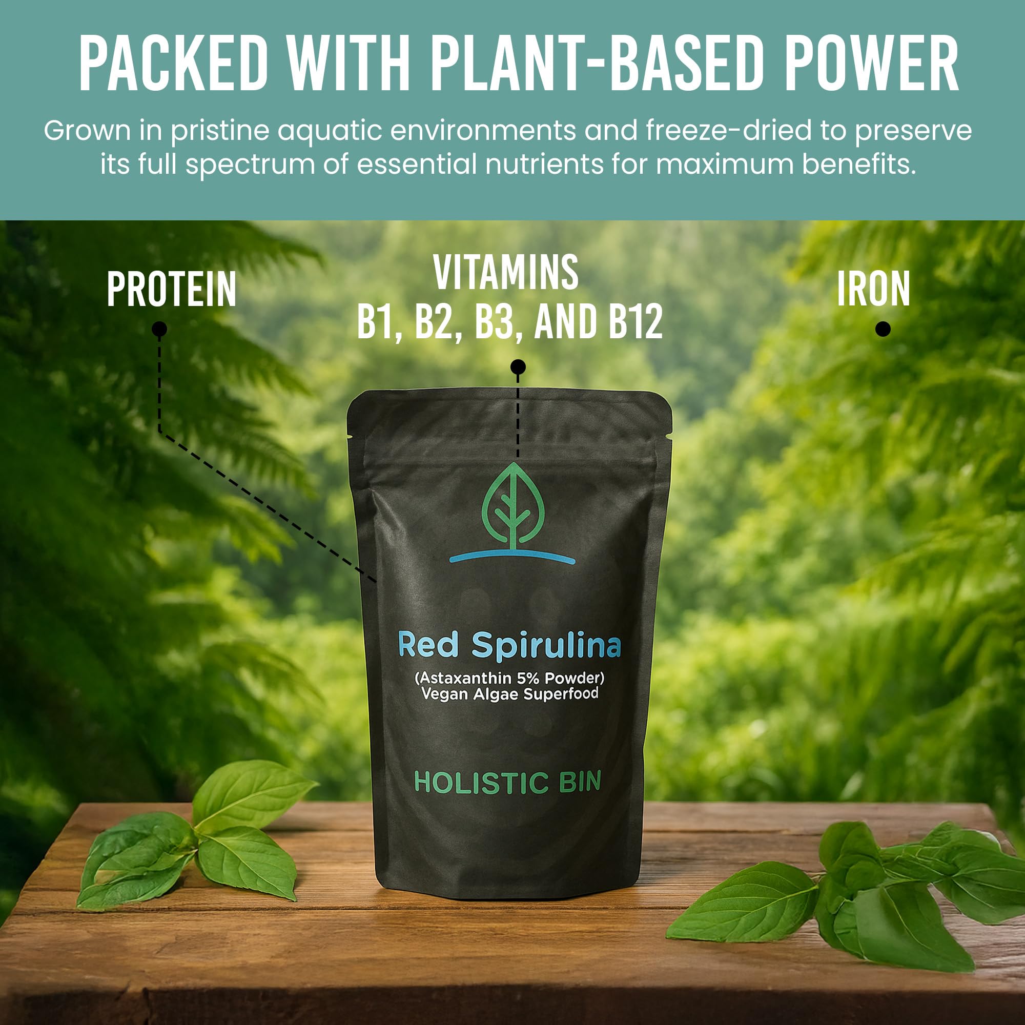Holistic Bin suplemento antioxidante natural para uso diario