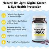 Presentación de Vision Alive Max: caja práctica para almacenar y llevar