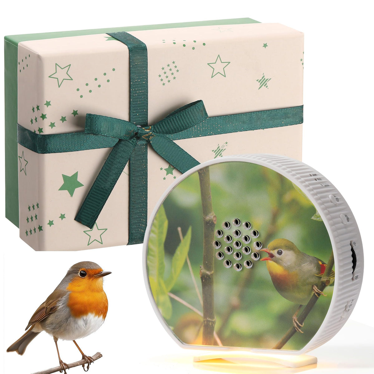 Hollowfly Caja Pájaro Cantor: 12 sonidos naturales para dormir y relajarte