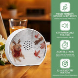 Hollowfly Caja Pájaro Escenas Intercambiables: decoración temática para el hogar