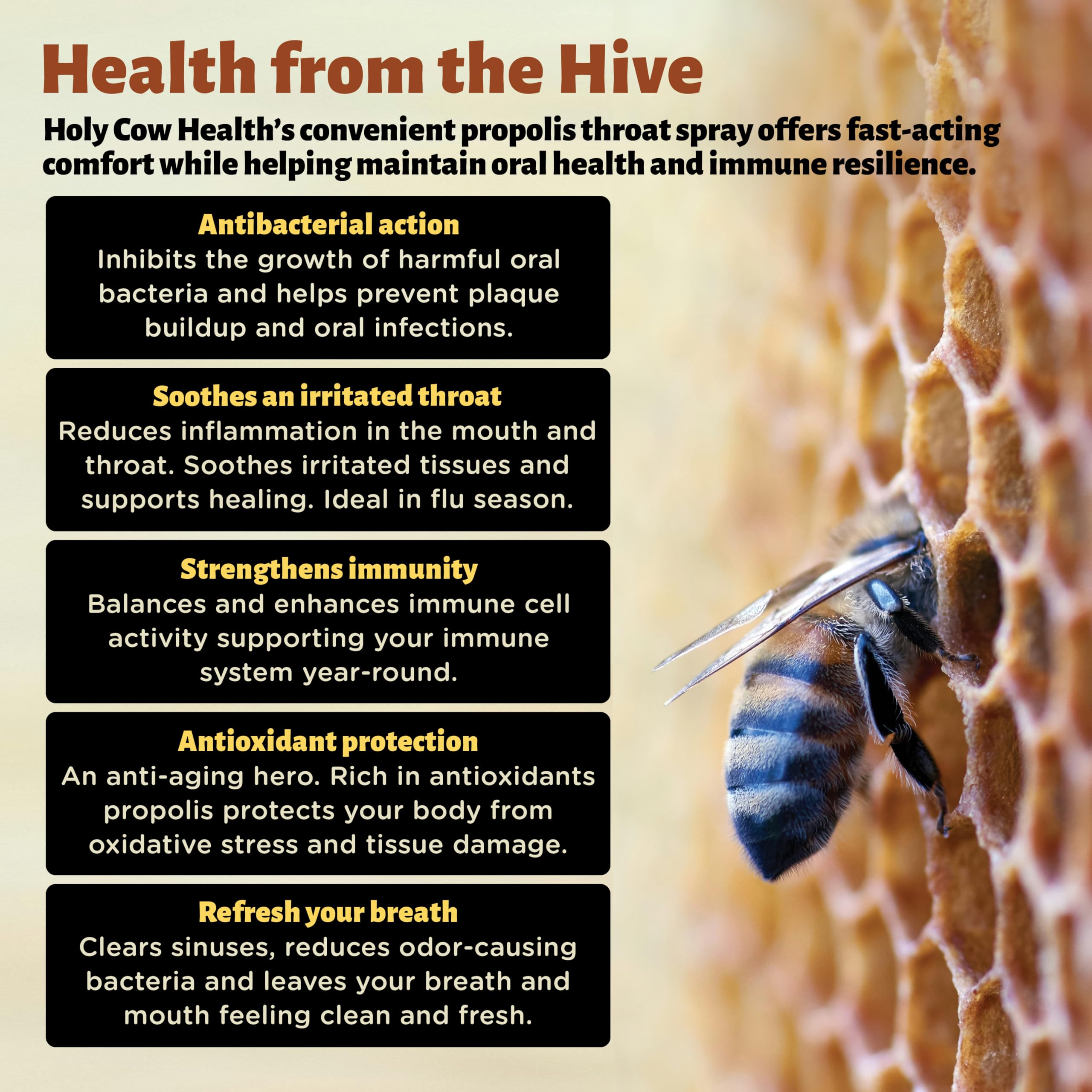 Holy Cow Health Propolis Manuka etiqueta-diseño que transmite calidad y naturalidad