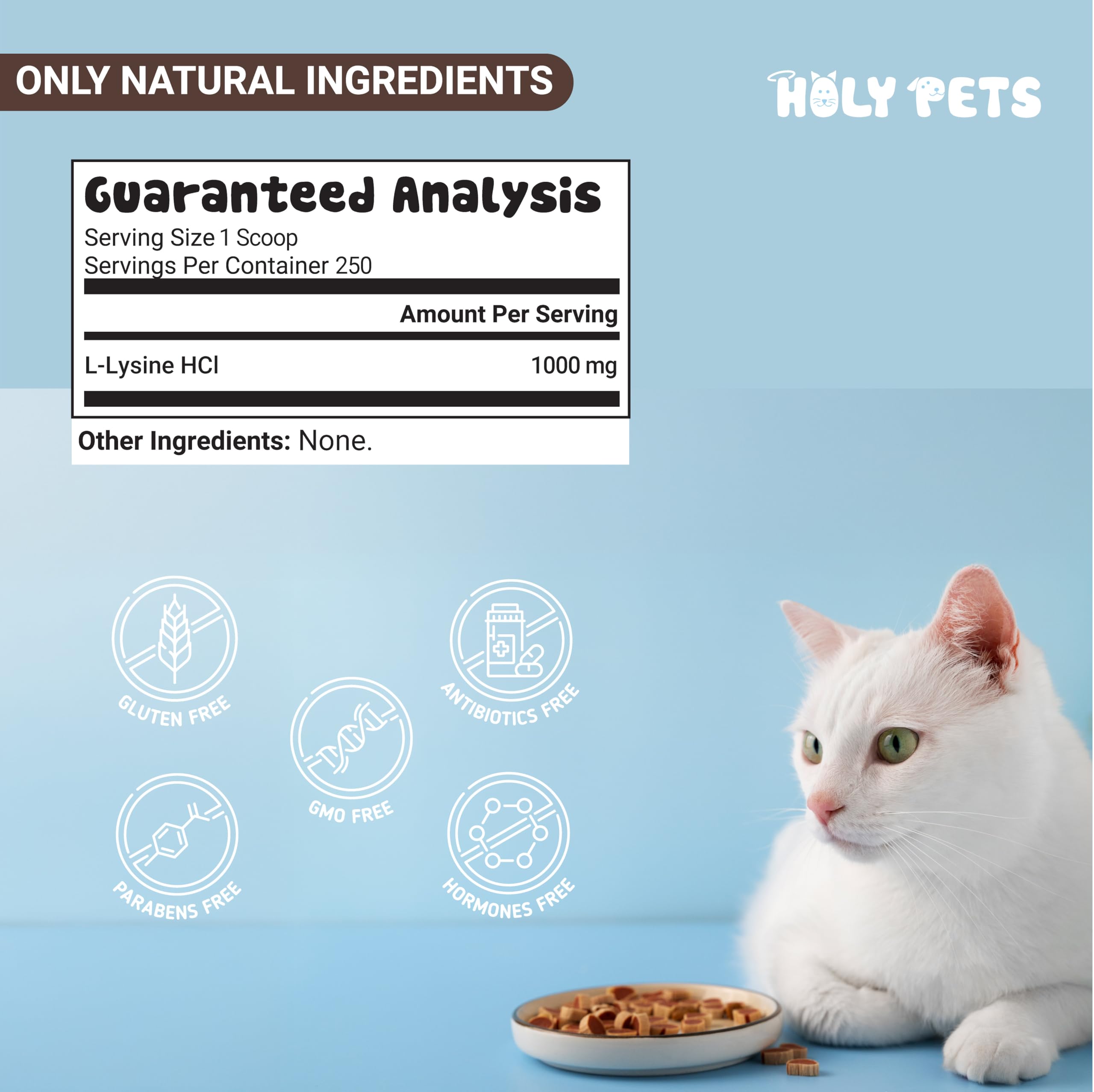 Holy Pets lisina apta para todas las edades felinas, ideal para hogares con varios gatos.