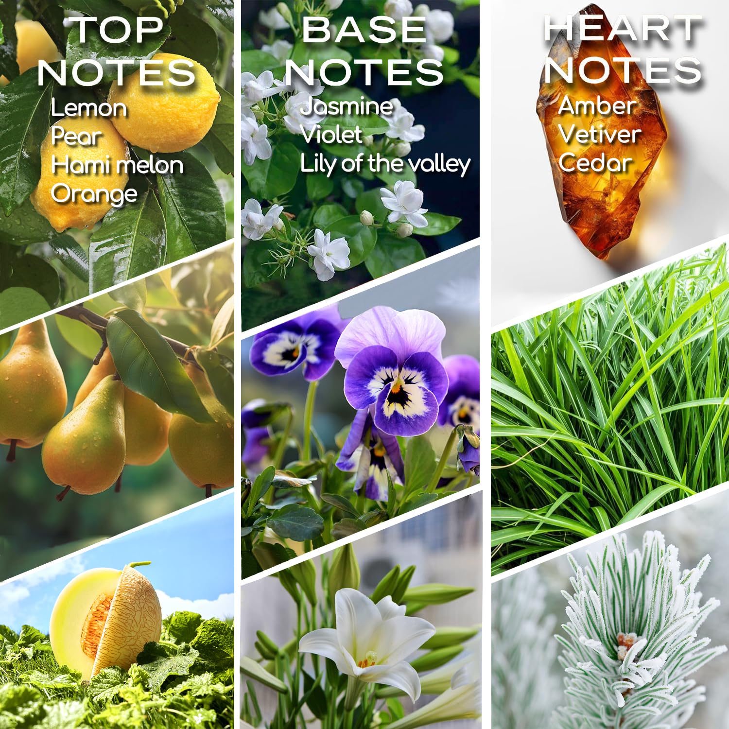 Homnas Serenity Meadows: notas cítricas y florales para revitalizar espacios.