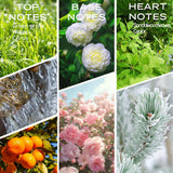 Homnas Wandering Breeze: notas aromáticas para ambientar espacios con lujo