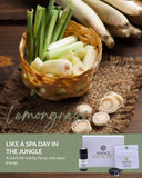 HONÉ Essence: aceite de citronela en 5 ml para fragancia duradera