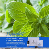 HONÉ Essence aceite esencial de menta de 5 ml para recargas rápidas