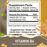 HoneyCombs Vitamina B6 en gotas: cuentagotas para dosis precisas.