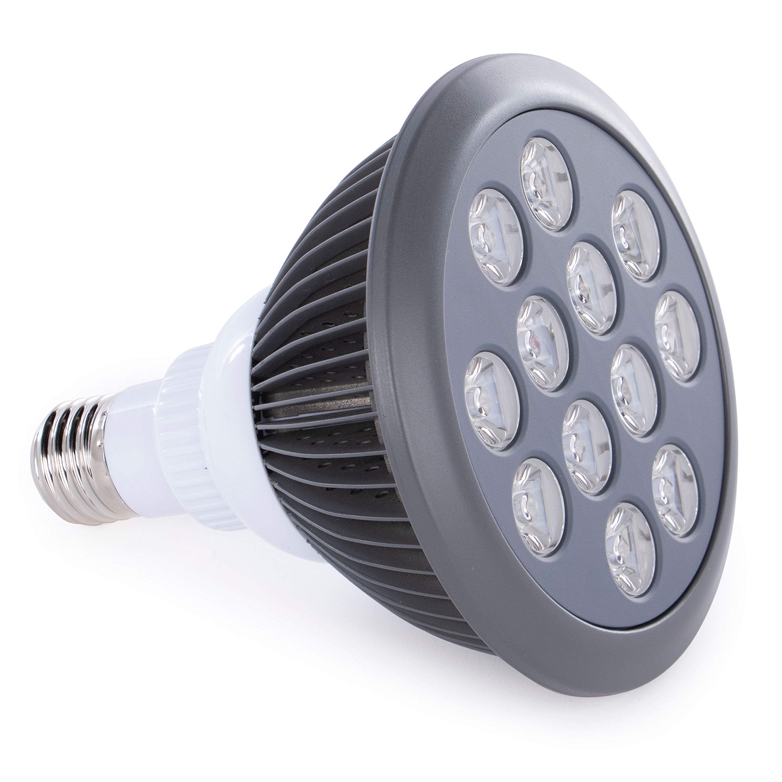Hooga luz azul 415nm para piel sensible y calmante