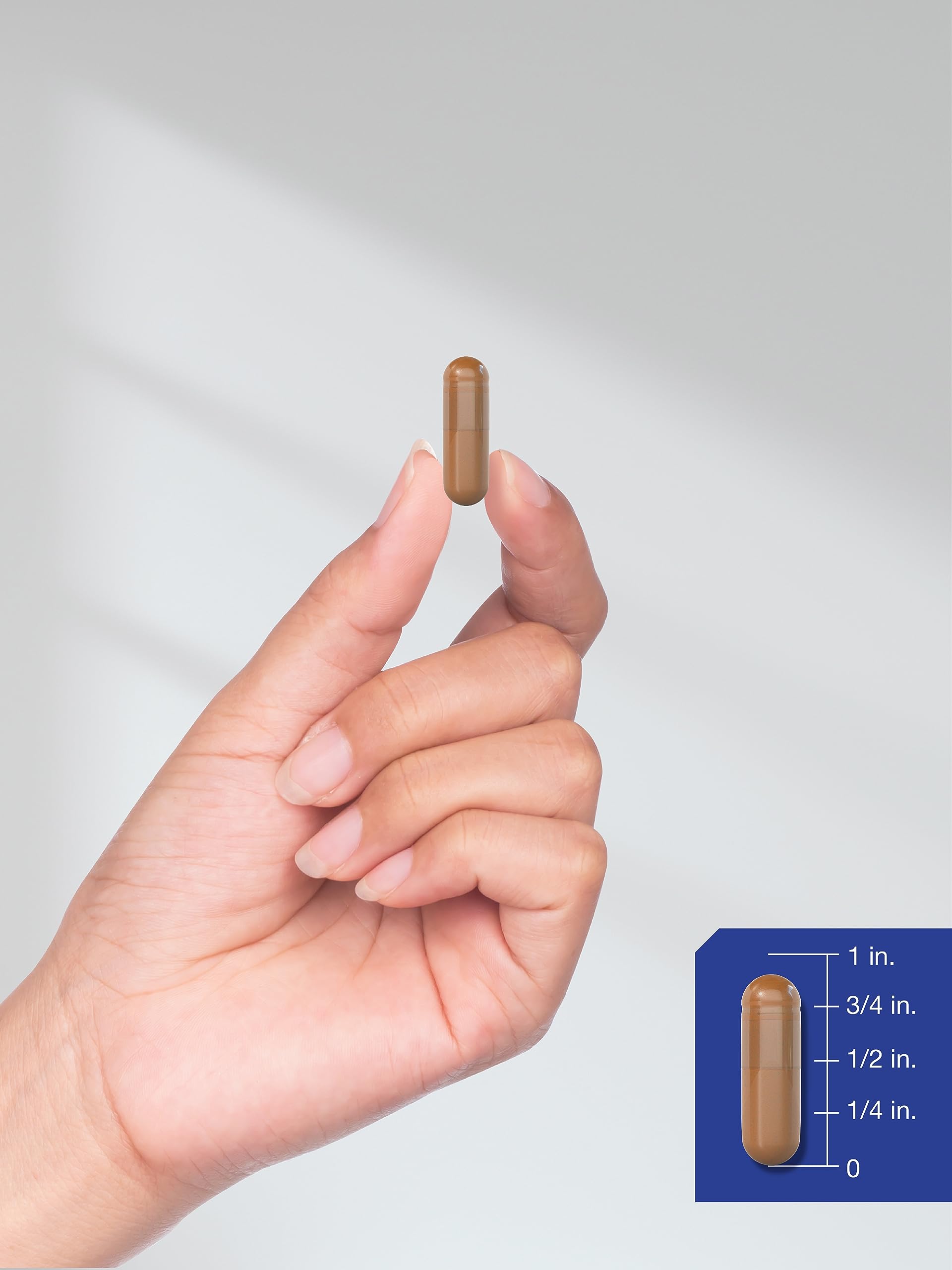 Ingredientes clave de Horbaach Alpha GPC 600 mg para apoyo cognitivo.