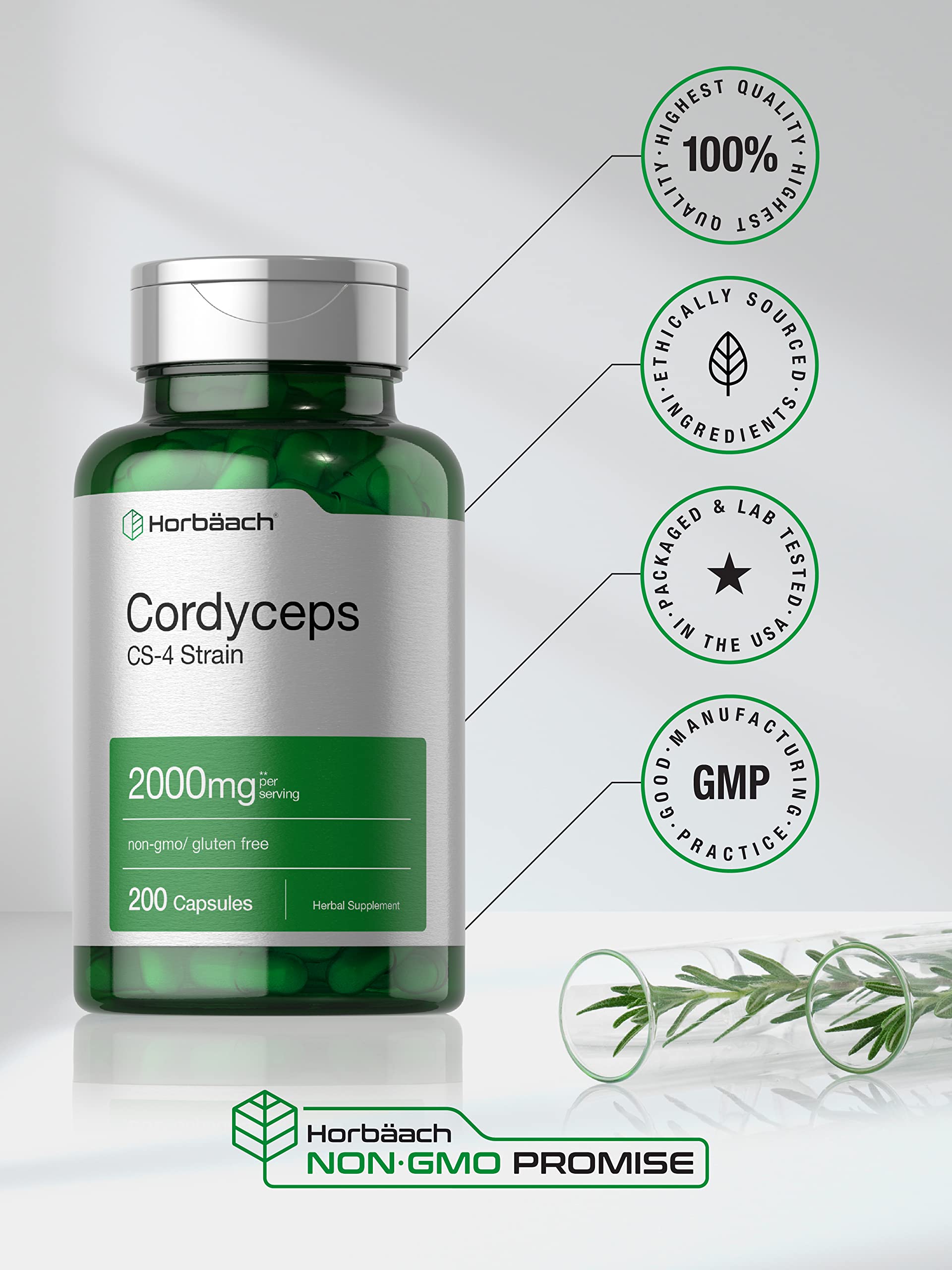 Horbäach Cordyceps Cápsulas uso diario: mejora la vitalidad sin promesas absolutas.