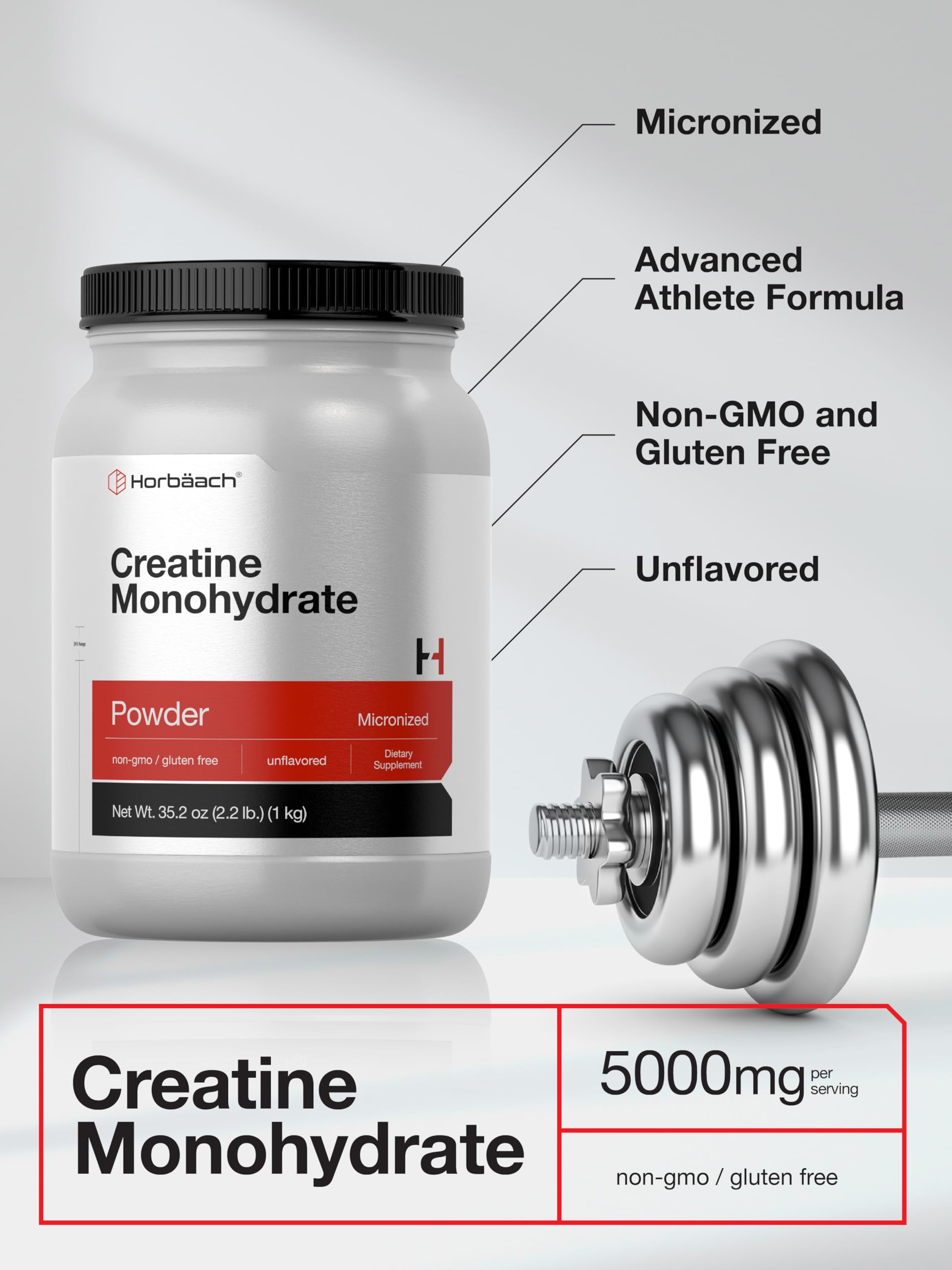 Textura fina de Horbäach Creatine Monohidrato, disolución fácil en batidos