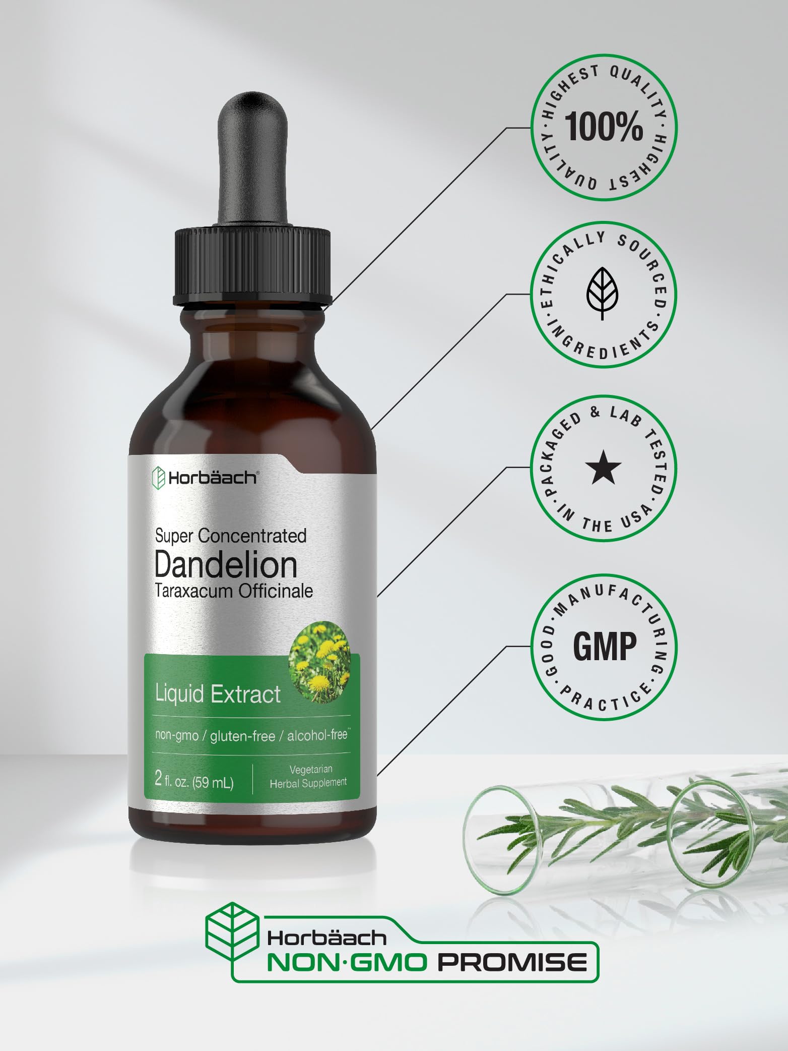 Horbaach Diente de León – caja, libre de gluten para dietas sensibles.