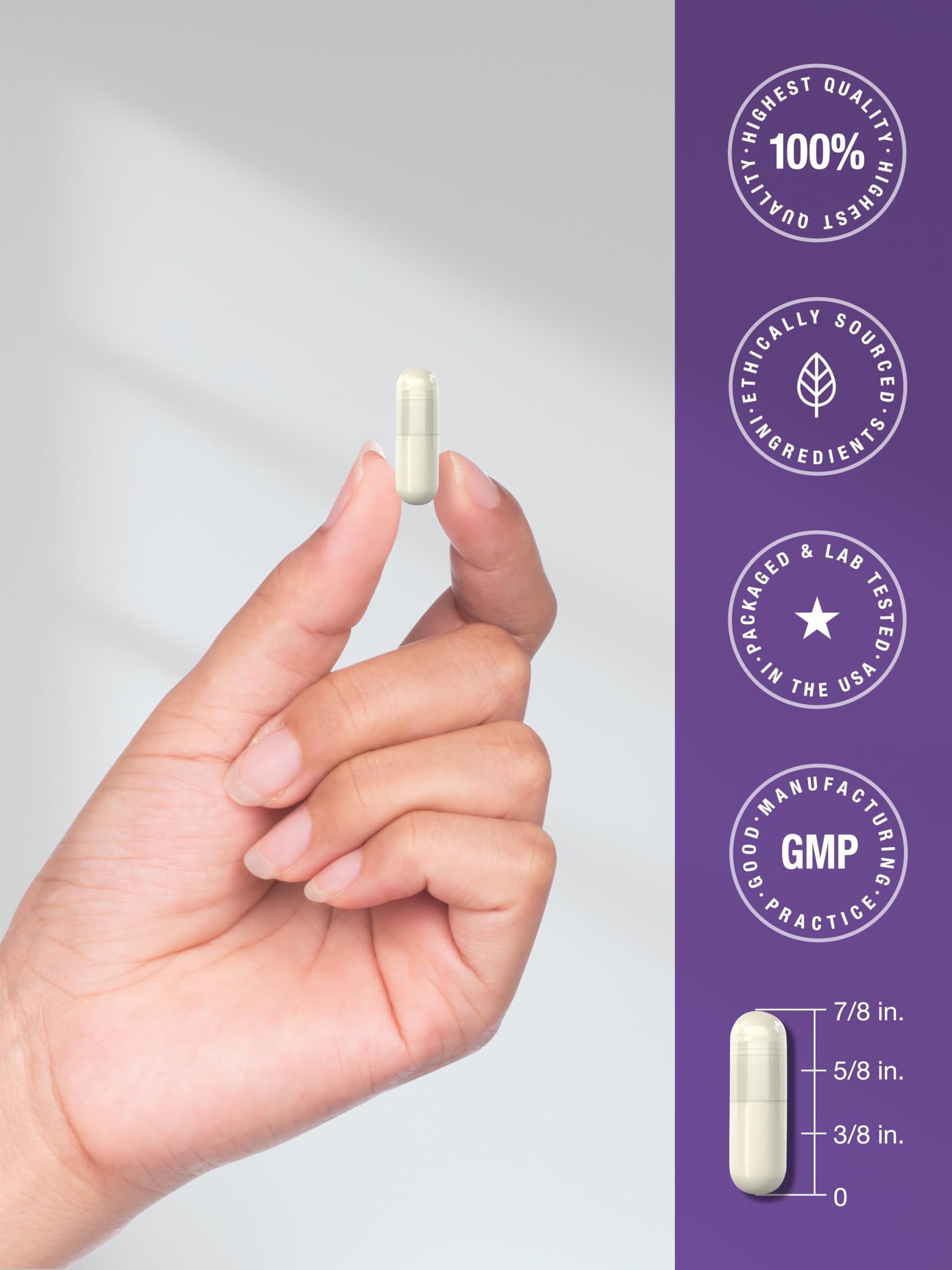 Horbaach Probiotics favorece la microbiota y el bienestar digestivo.