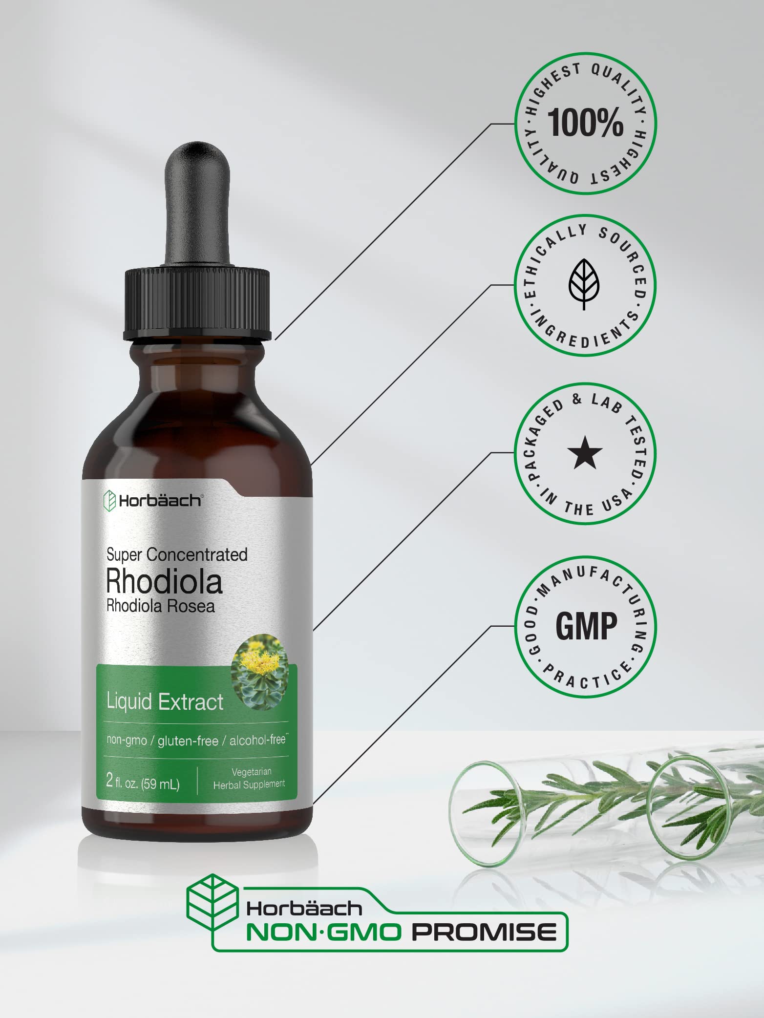 Fondo oscuro protege la potencia del extracto Horbäach Rhodiola Rosea.