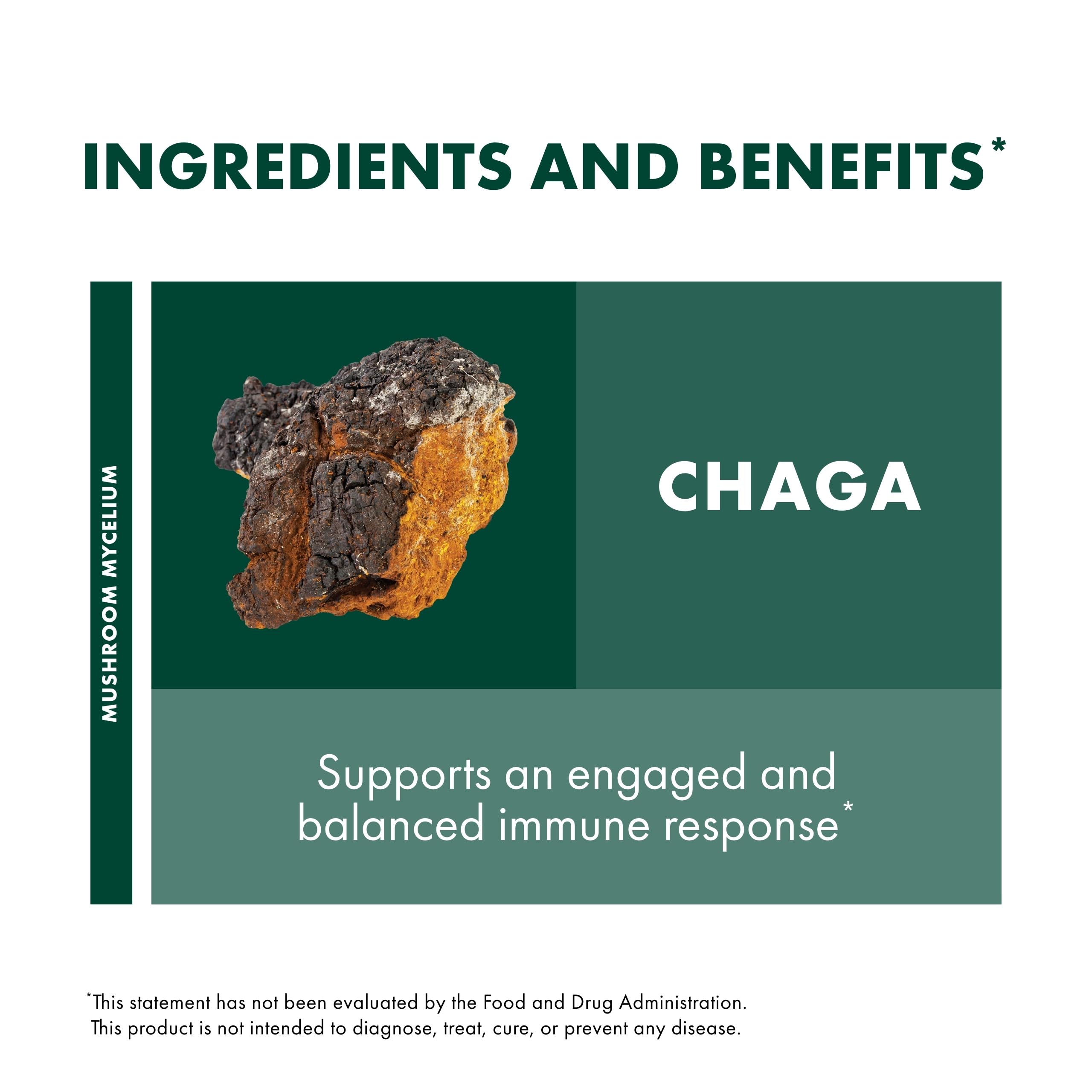 Host Defense Chaga Extract, pipeta-precisa: dosificación confiable para cada uso.