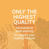 Host Defense Cordyceps Extract, botella en cocina, listo para uso diario