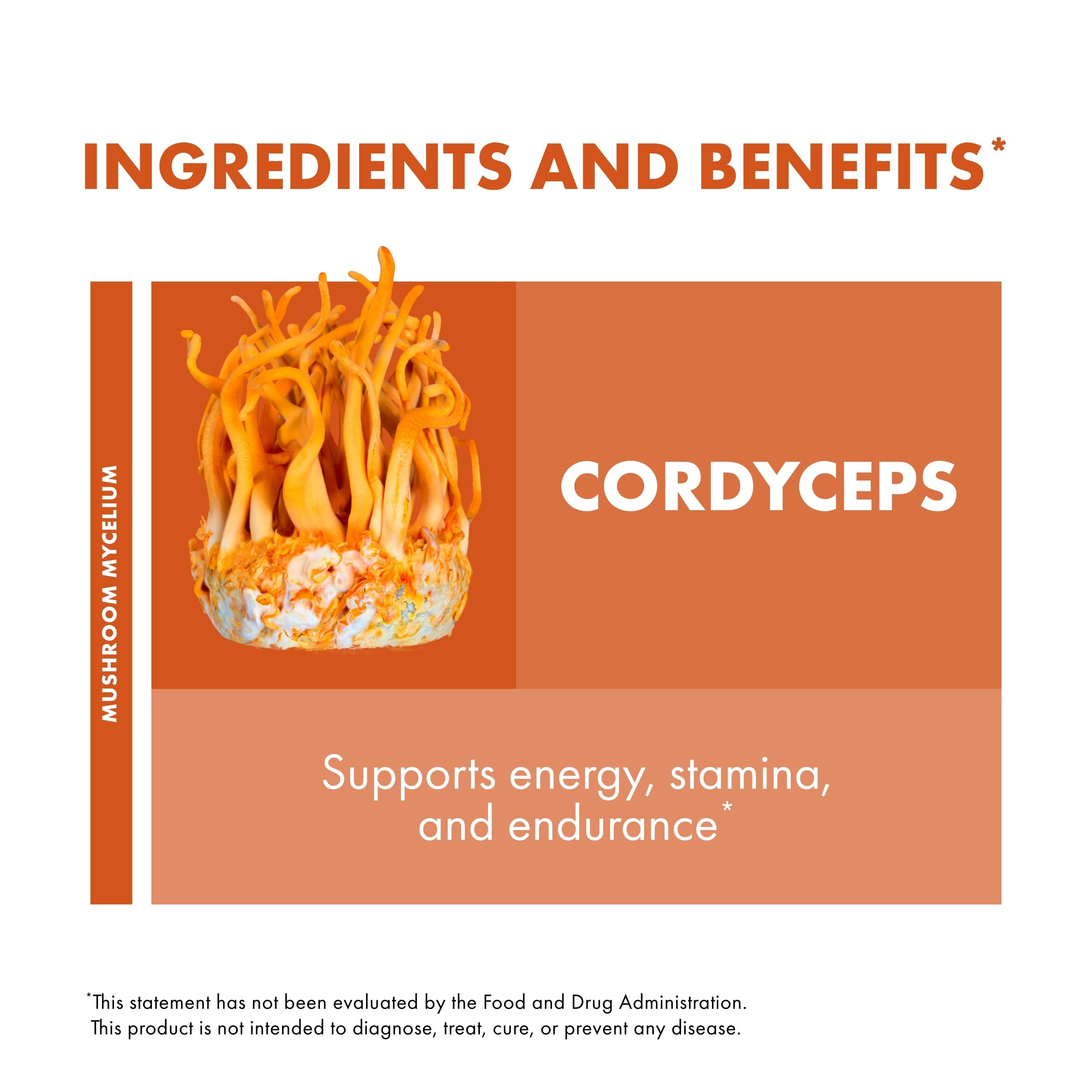 Host Defense Cordyceps Extract, gotero junto a alimentos, opción de consumo con comida