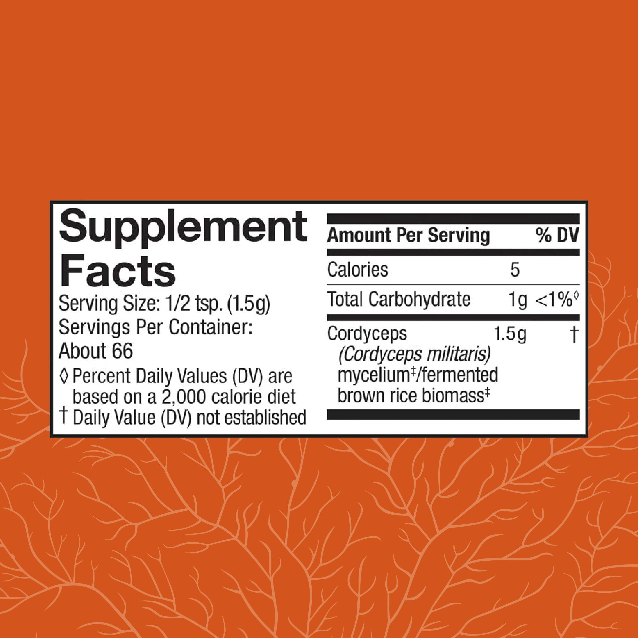 Cordyceps en polvo con medición de cucharadita para dosis consistentes.