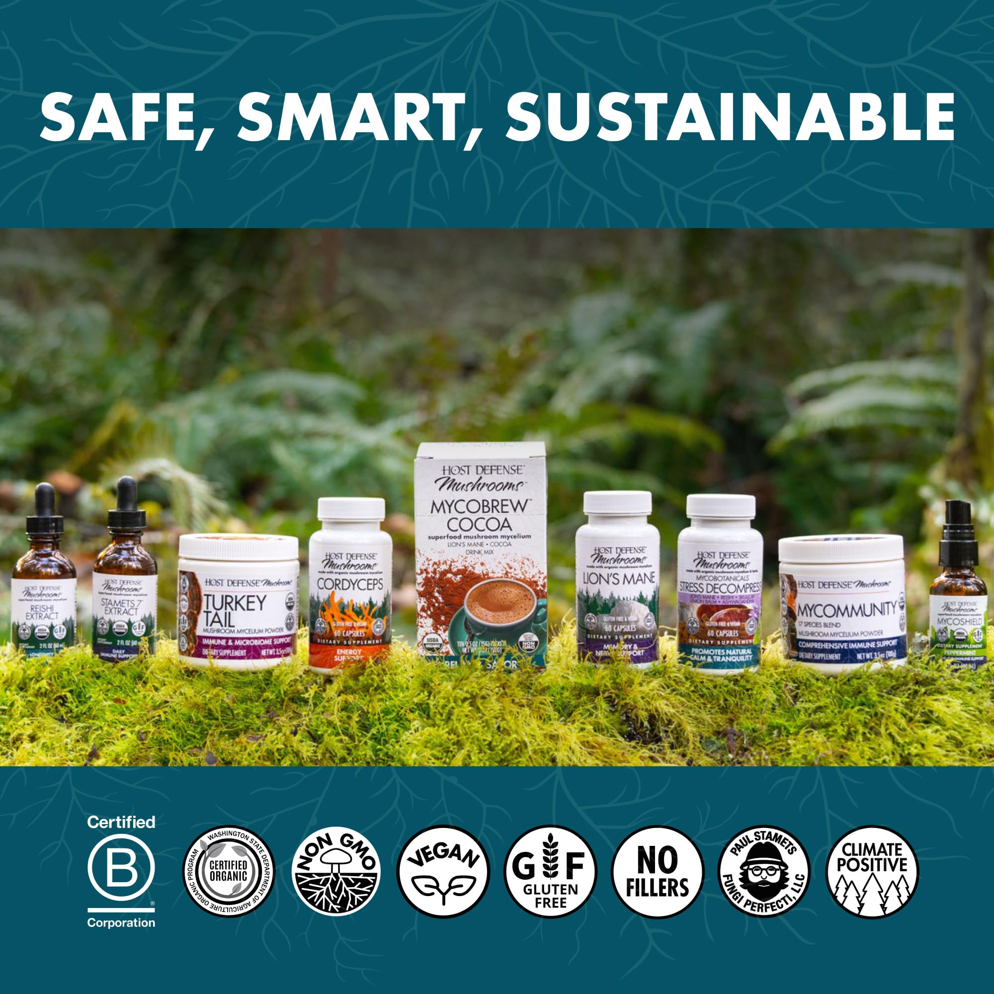 Uso diario CordyChi para energía leve y respiración suave