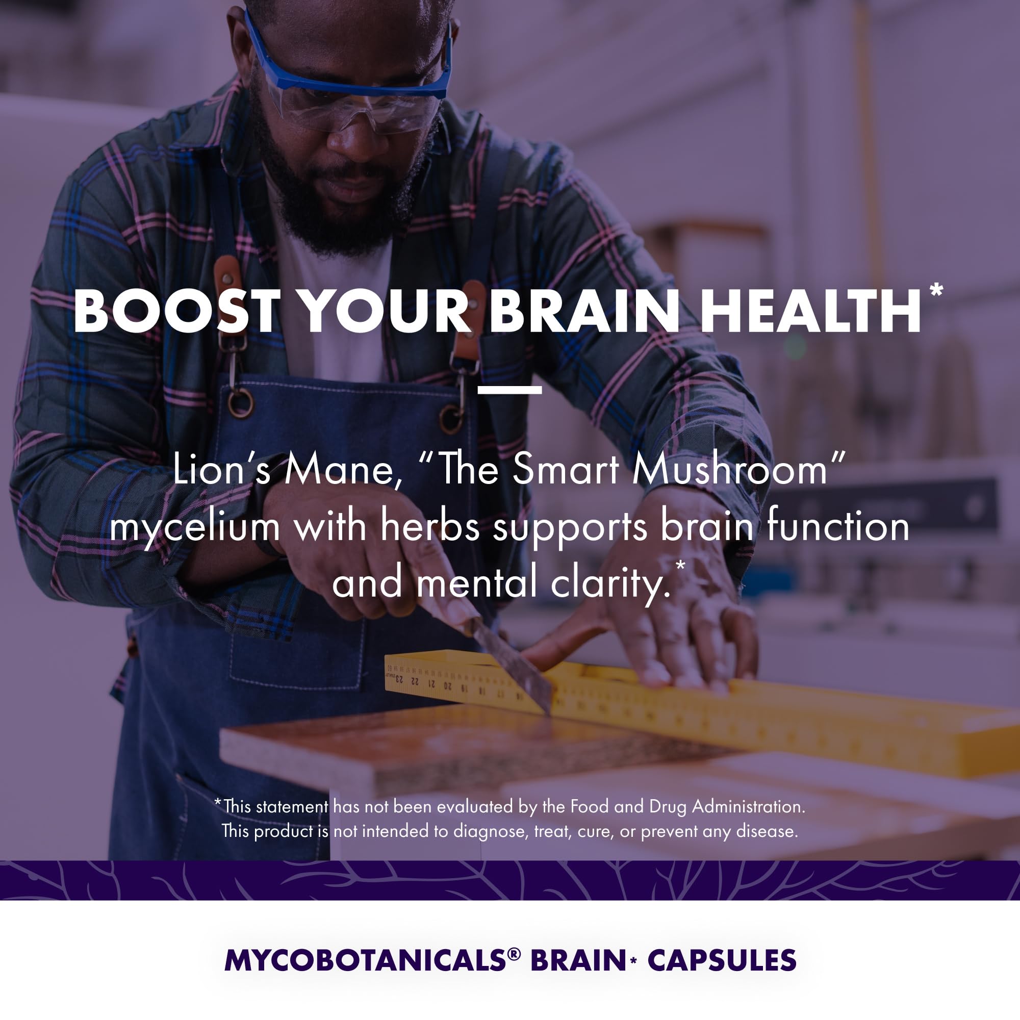 Host Defense MycoBotanicals Brain: bacopa y ginkgo para apoyo cognitivo