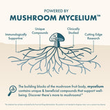 Host Defense MycoBenefits Mood, etiqueta del producto destacando ingredientes clave para el bienestar.