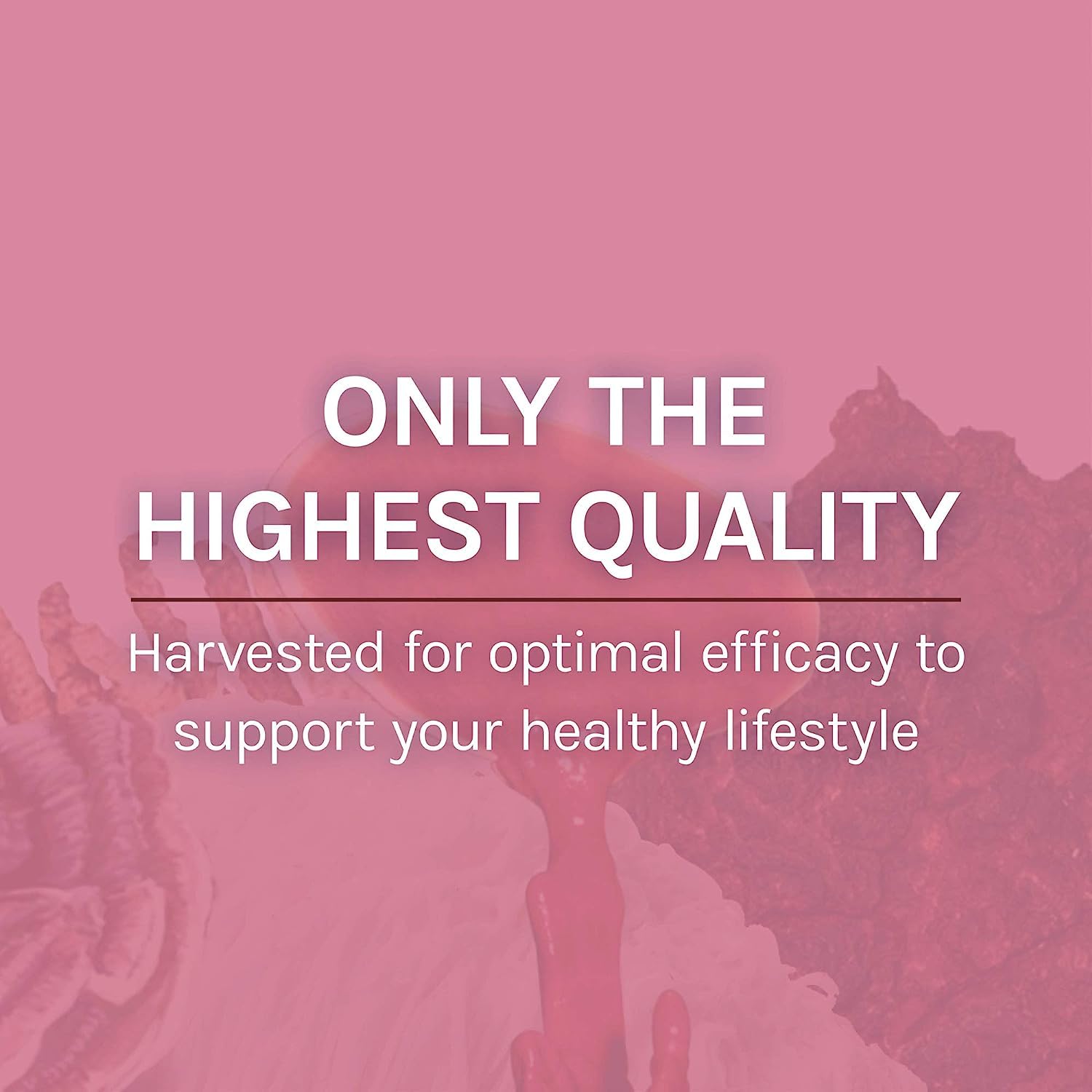 Host Defense MycoBotanicals reishi orgánico para apoyo general
