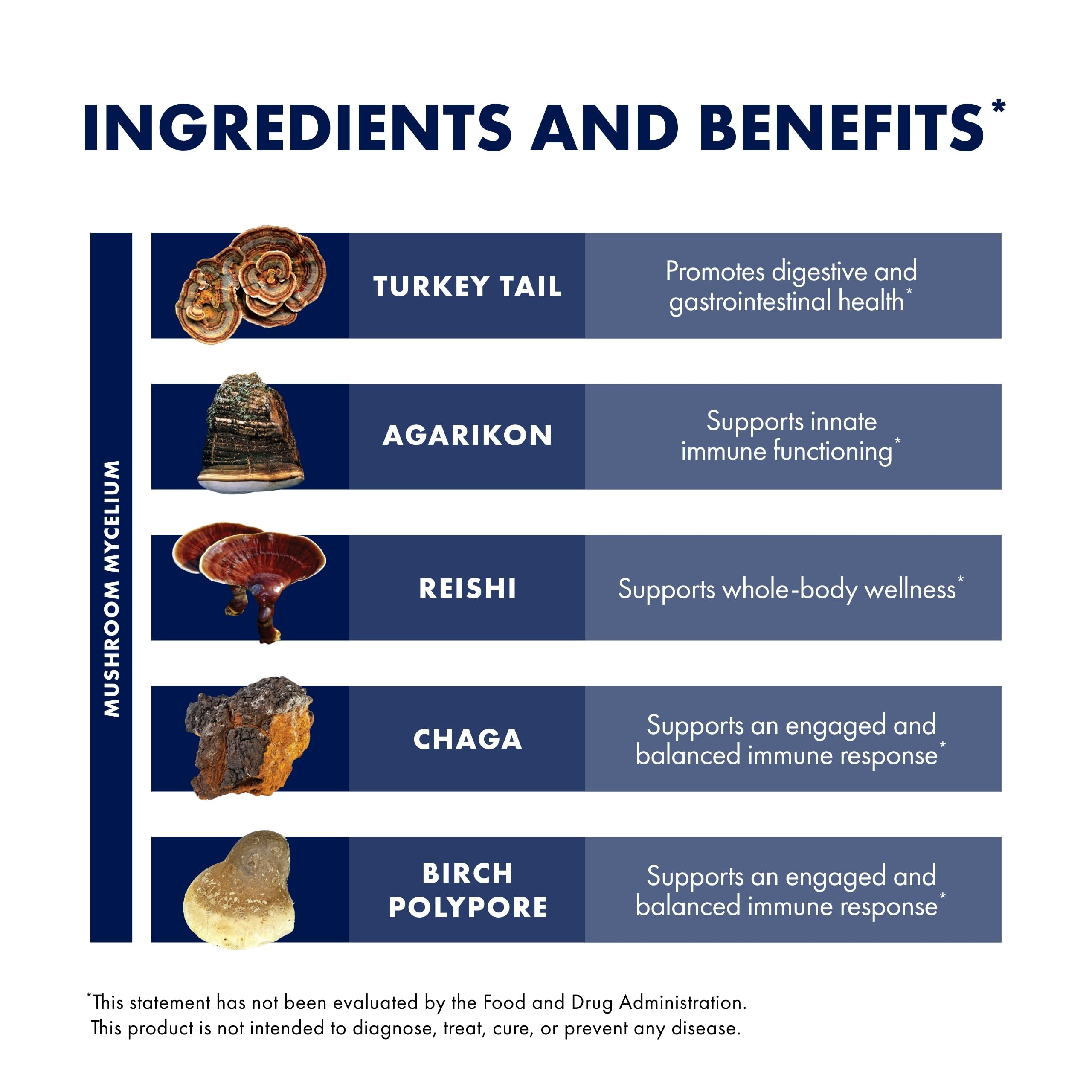 Host Defense MycoShield micelio con Chaga y Reishi, mezcla de hongos