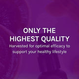 Host Defense MycoShield spray promueve defensas naturales, posible apoyo diario