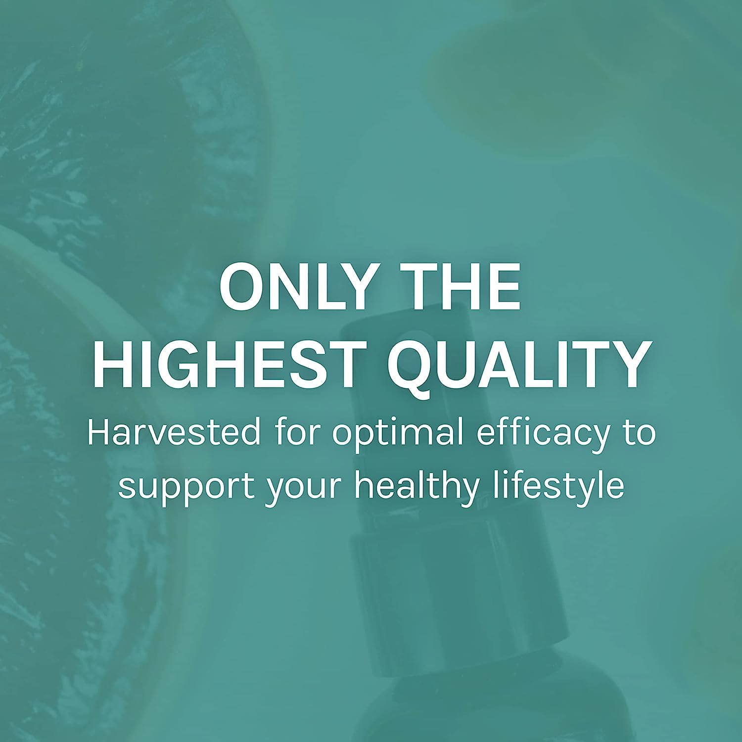 Host Defense MycoShield Throat Spray empaque para viaje.