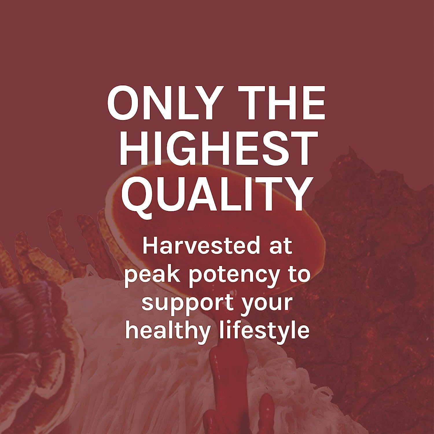 Host Defense Reishi Extract, caja del producto, información de origen y sostenibilidad.