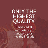 Host Defense Reishi Extract, caja del producto, información de origen y sostenibilidad.