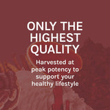 Host Defense Reishi Extract, empaque sostenible y responsable con el ambiente.