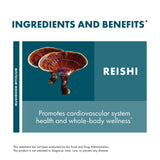 Host Defense Reishi Extract, frasco de vidrio, presentación limpia de suplemento herbal.