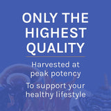 Host Defense Stamets7 envase sin gluten: apto para diversas dietas