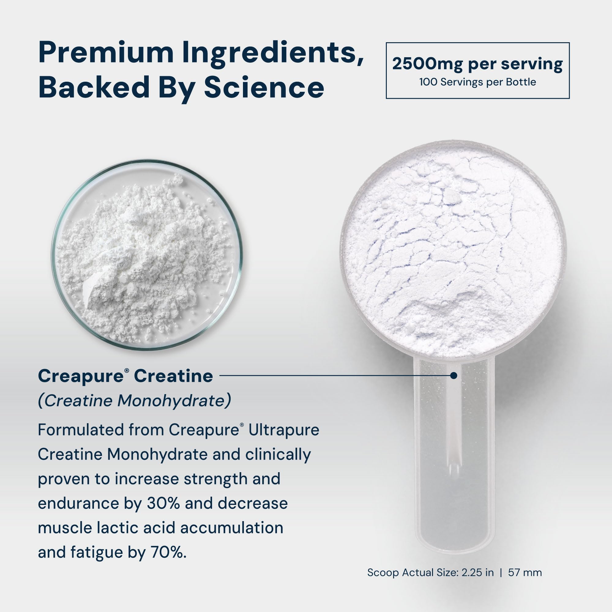 Mezcla en agua con C2 Creatina Monohidrato, disolución rápida y sabor neutro.