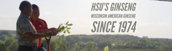 Apoyo a la respiración con cápsulas de reishi japonés de Hsu's.